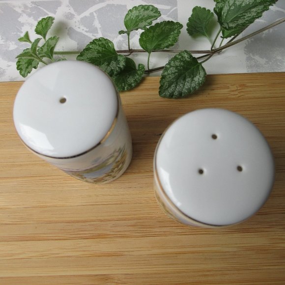 Salt & Pepper Shaker British Columbia Fairmont Hot Springs Canada Souvenir - Picture 3 of 8